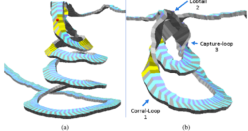 On the Complexity of Humpback Whale Hunting Techniques