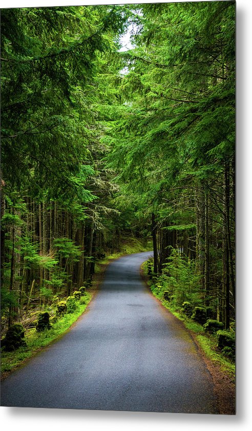 A path through the woods