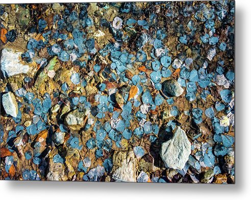 Blue Aspen Leaves