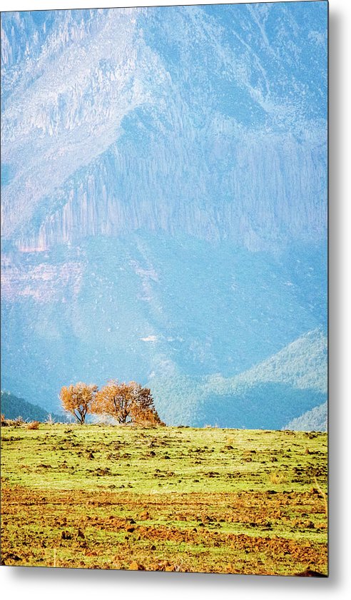 Lonely Juniper Trees Under Pine Mountain