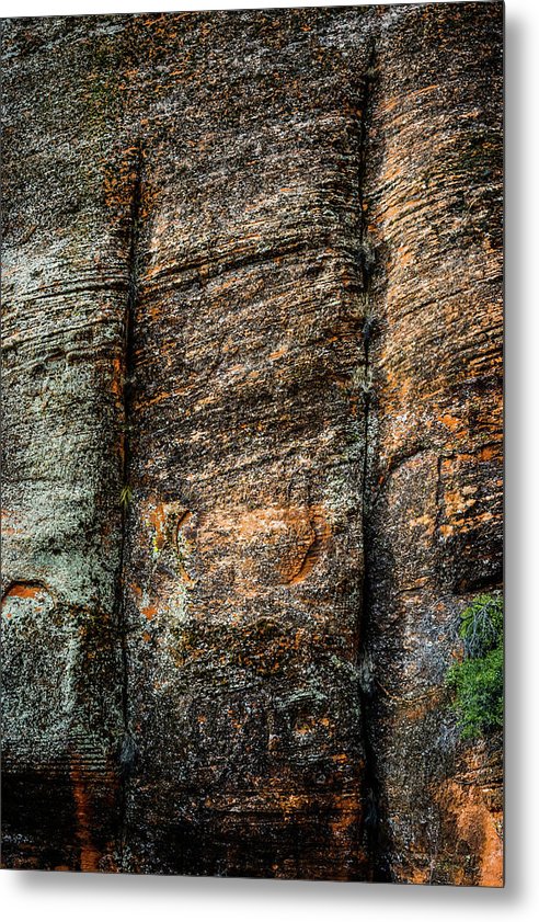 The Lichen Kingdom