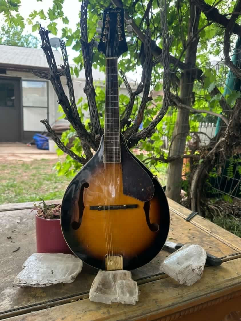 Instrument of the Week 1: Mandolin!