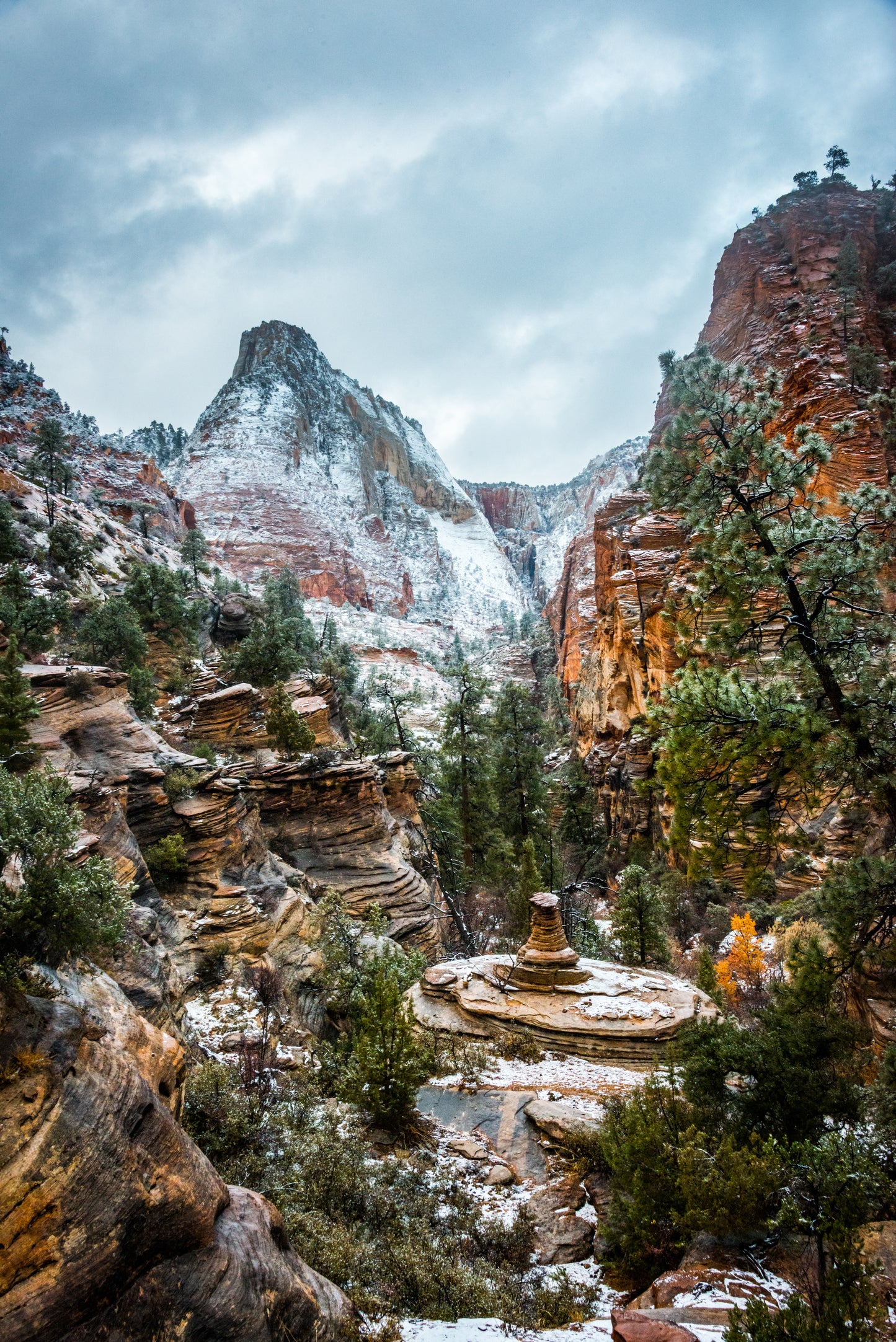 The most amazing scene of Zion National Park I have ever experienced. The first snow of the season. The colors explode fiery on the wet Zion walls. Zion sees so few storms a year, the snowy scene is quite a rare treat.