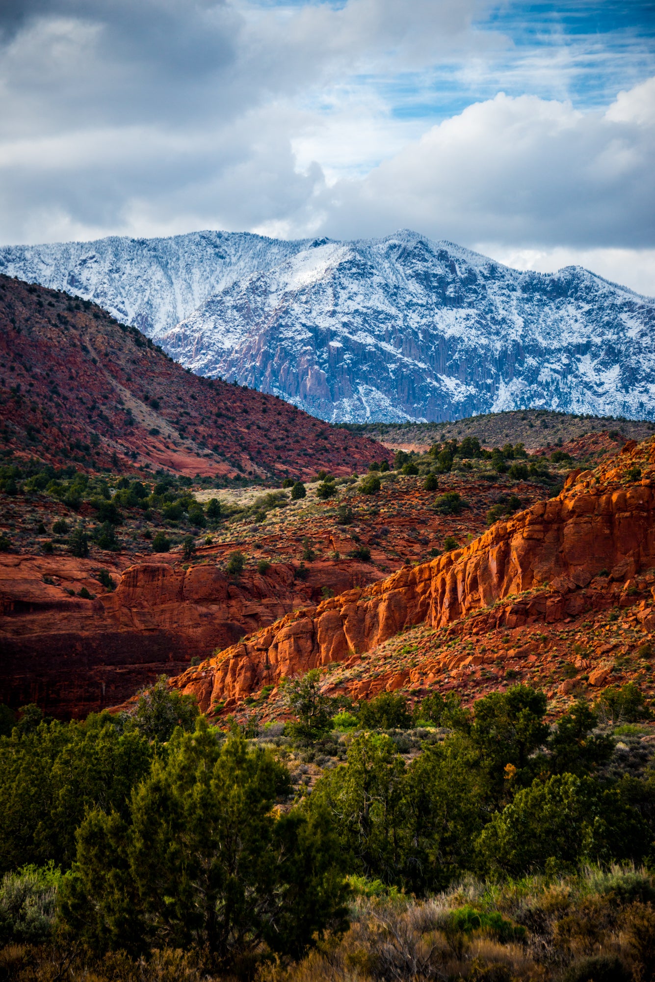 7 layers of sandstone in front of a snowy mountain with juniper trees everywhere