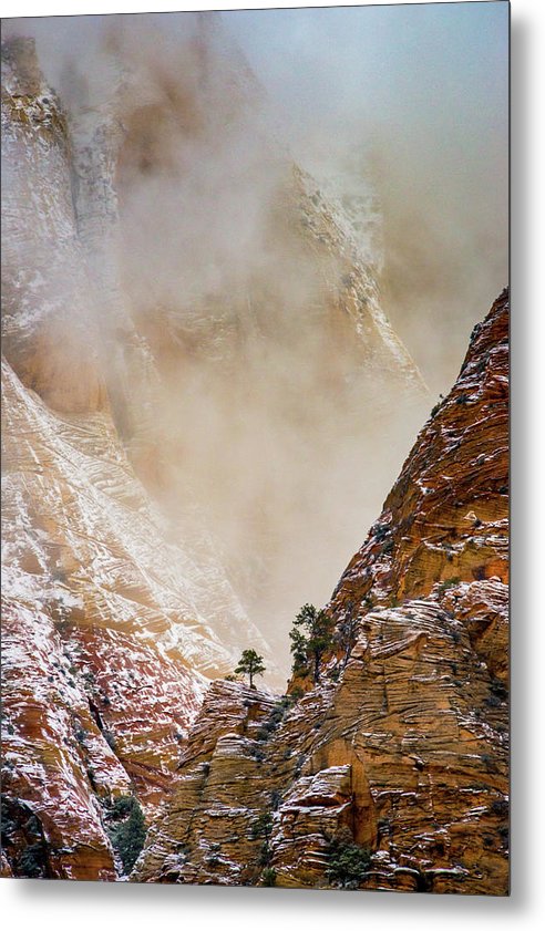 Pinyon Sentinels of Zion Canyon
